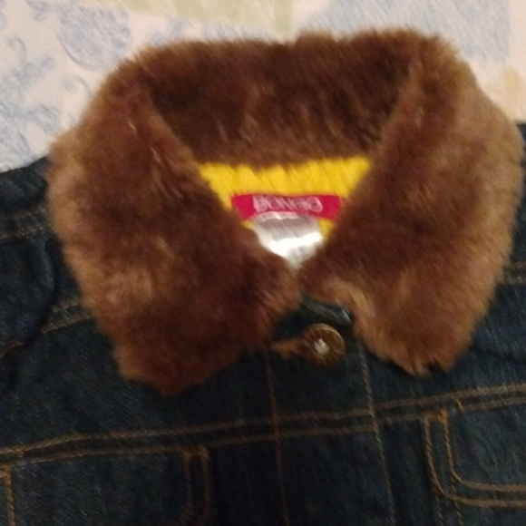 - Bongo - Picture 3 of 6